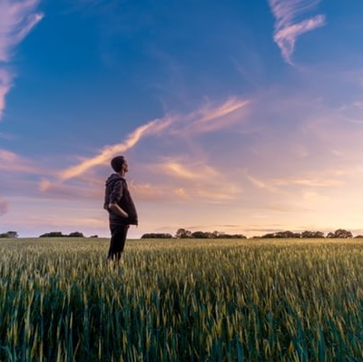 Image of looking for the future of food