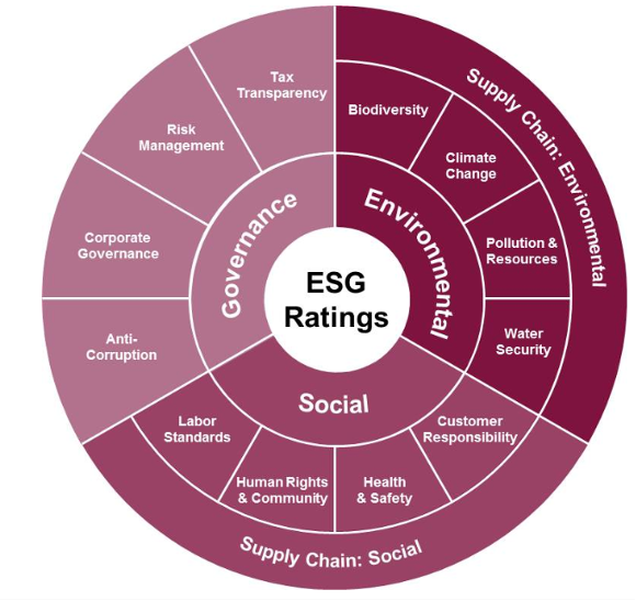 What to Make of ESG Scores